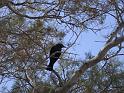 Dsck0169 (70)